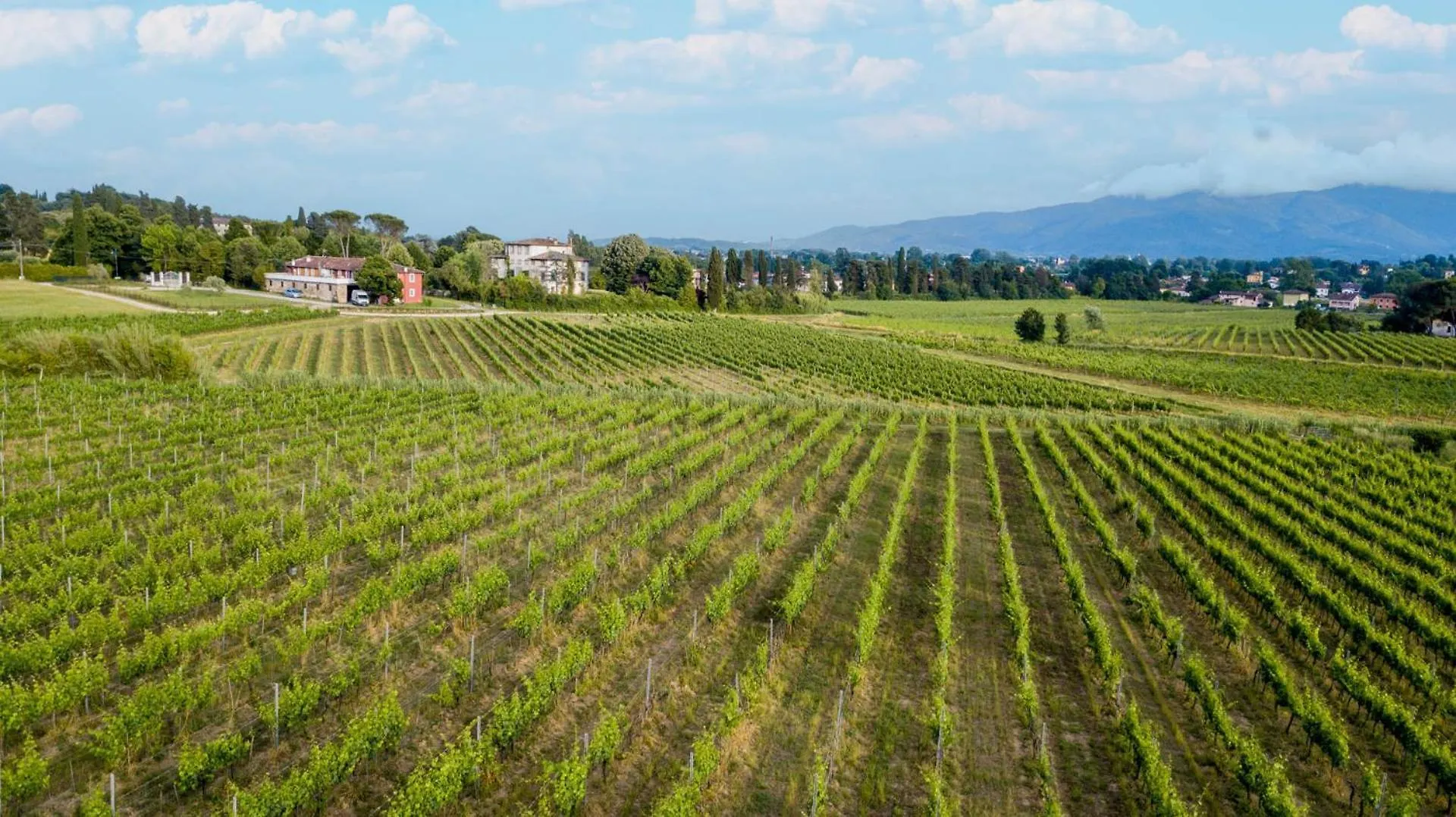 Apartment Anna Farmhouse At Wine Resort Lucca