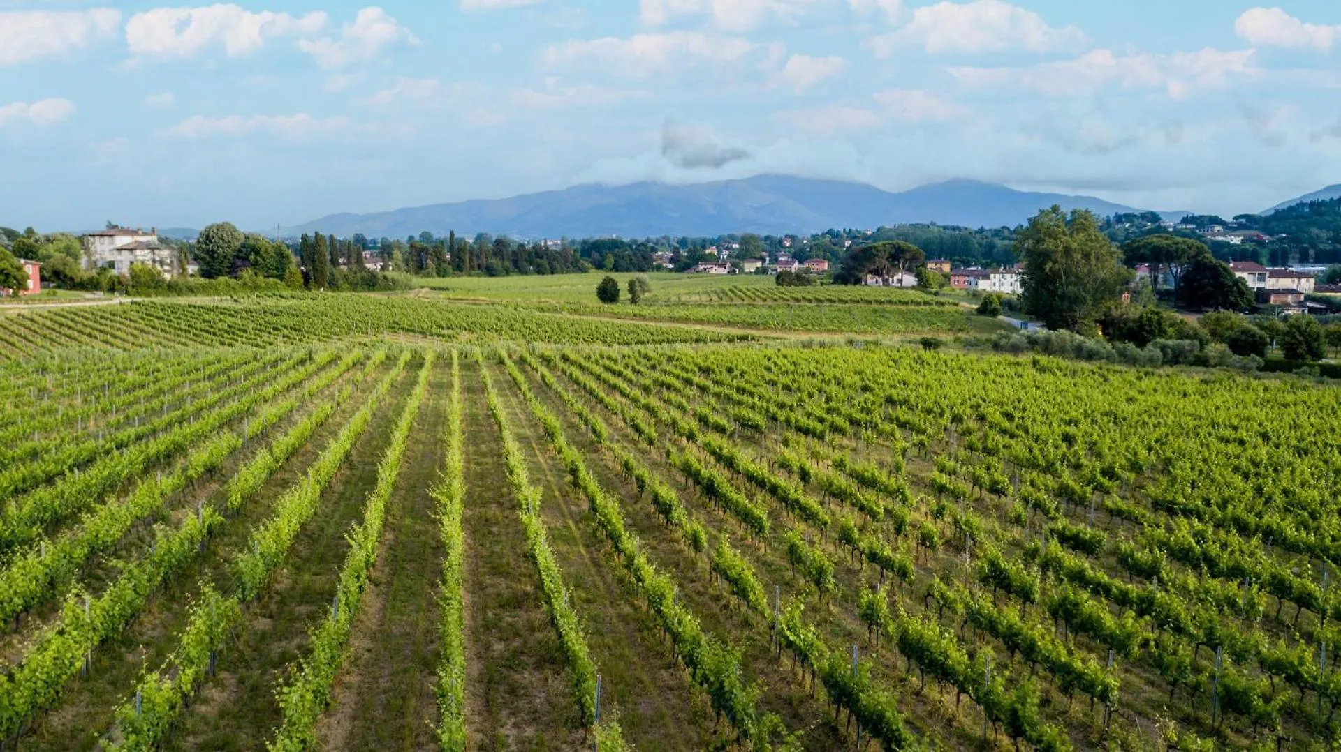 Anna Farmhouse At Wine Resort Lucca 0*,